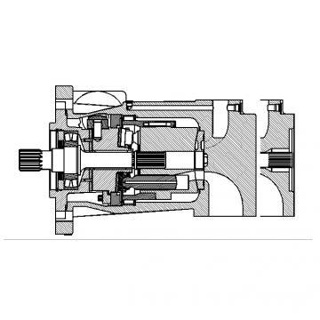 Dansion P080 series pump P080-02R1C-V5K-00