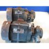 MEIDENSHA MEDEN MOTOR LTF70-NR NACHI PUMP VDR-1B-1A2-11 UVD-1A-A2-15-4-13 #1 small image