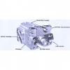 Dansion piston pump Gold cup P7P series P7P-4R1E-9A2-B00-0A0