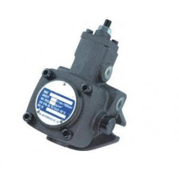 High-pressure Variable Vane Pumps VHPD series #1 image