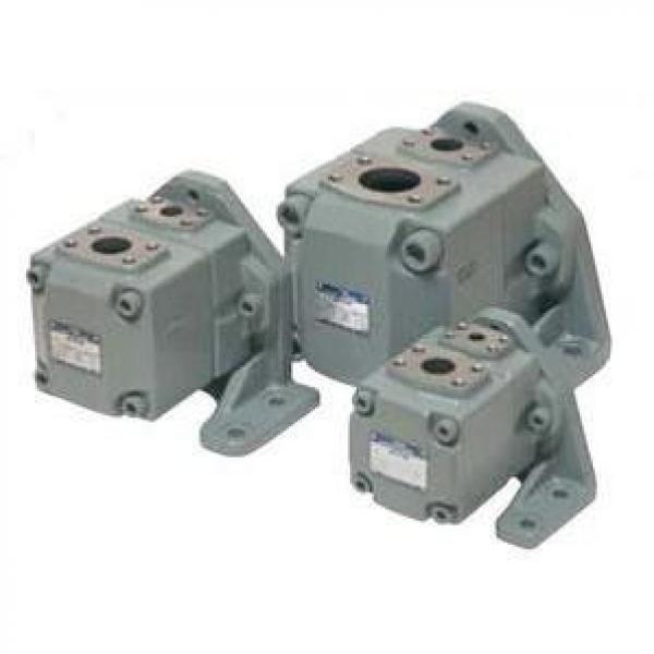 Yuken PV2R Series Vane Pumps #1 image