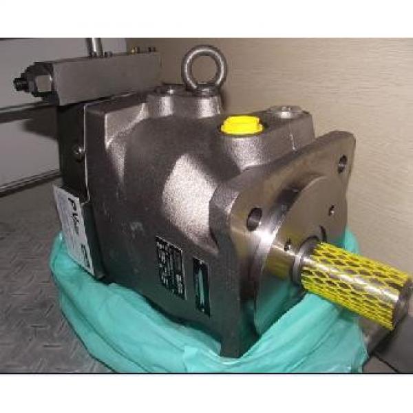 Plunger PV series pump PV20-2L1D-C00 #1 image